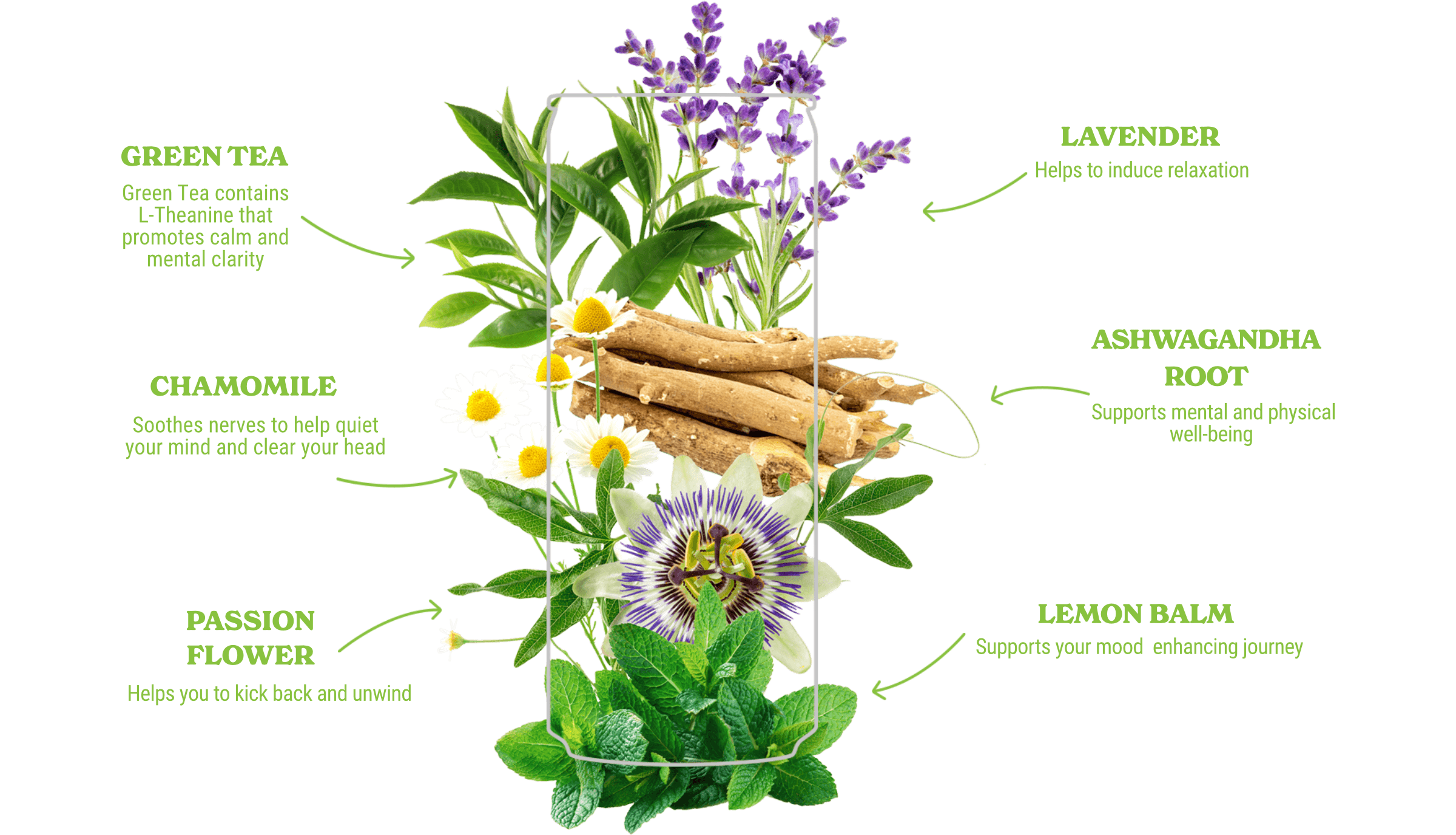 tq-adaptogens-chart-i